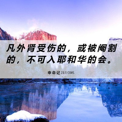 Picture 06 - 申 命 记 23:1 CUVS - 凡 外 肾 受 伤 的 ， 或 被 阉 割 的 - Bible Verse Picture