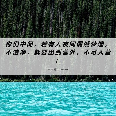 Picture 06 - 申 命 记 23:10 CUVS - 你 们 中 间 ， 若 有 人 夜 间 偶 然 - Bible Verse Picture