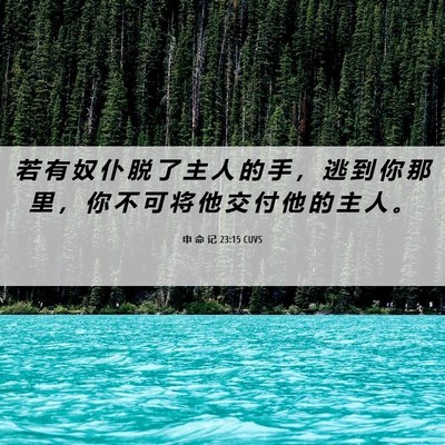 Picture 06 - 申 命 记 23:15 CUVS - 若 有 奴 仆 脱 了 主 人 的 手 ， 逃 - Bible Verse Picture