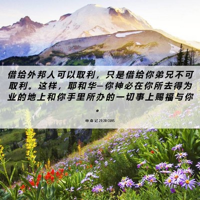 Picture 06 - 申 命 记 23:20 CUVS - 借 给 外 邦 人 可 以 取 利 ， 只 是 - Bible Verse Picture