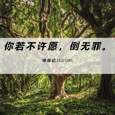 Picture 06 - 申 命 记 23:22 CUVS - 你 若 不 许 愿 ， 倒 无 罪 - Bible Verse Picture