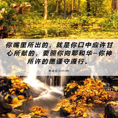 Picture 06 - 申 命 记 23:23 CUVS - 你 嘴 里 所 出 的 ， 就 是 你 口 中 - Bible Verse Picture