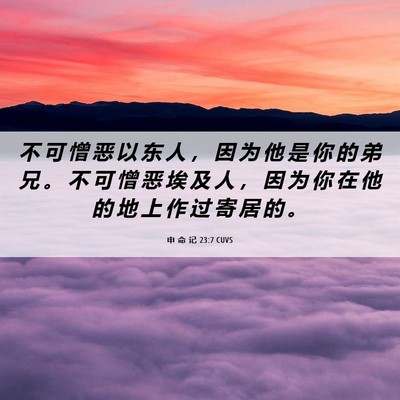 Picture 06 - 申 命 记 23:7 CUVS - 不 可 憎 恶 以 东 人 ， 因 为 他 是 - Bible Verse Picture