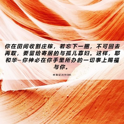 Picture 06 - 申 命 记 24:19 CUVS - 你 在 田 间 收 割 庄 稼 ， 若 忘 下 - Bible Verse Picture