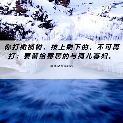 Picture 06 - 申 命 记 24:20 CUVS - 你 打 橄 榄 树 ， 枝 上 剩 下 的 ， - Bible Verse Picture