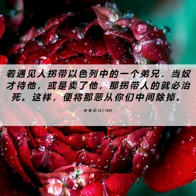Picture 06 - 申 命 记 24:7 CUVS - 若 遇 见 人 拐 带 以 色 列 中 的 一 - Bible Verse Picture