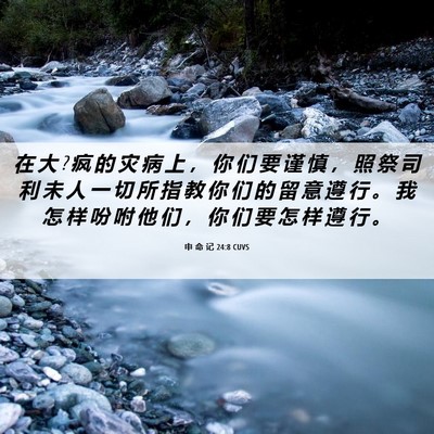 Picture 06 - 申 命 记 24:8 CUVS - 在 大 ? 疯 的 灾 病 上 ， 你 们 要 谨 - Bible Verse Picture