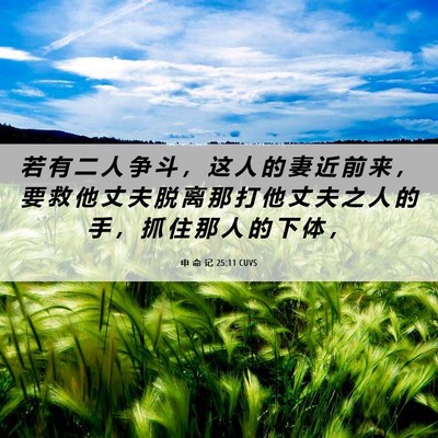 Picture 06 - 申 命 记 25:11 CUVS - 若 有 二 人 争 斗 ， 这 人 的 妻 近 - Bible Verse Picture