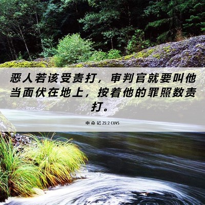 Picture 06 - 申 命 记 25:2 CUVS - 恶 人 若 该 受 责 打 ， 审 判 官 就 - Bible Verse Picture