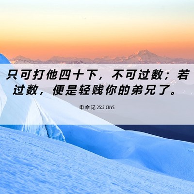 Picture 06 - 申 命 记 25:3 CUVS - 只 可 打 他 四 十 下 ， 不 可 过 数 - Bible Verse Picture