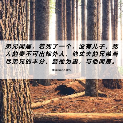 Picture 06 - 申 命 记 25:5 CUVS - 弟 兄 同 居 ， 若 死 了 一 个 ， 没 - Bible Verse Picture