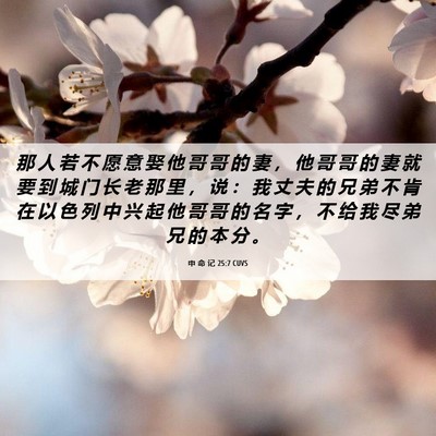 Picture 06 - 申 命 记 25:7 CUVS - 那 人 若 不 愿 意 娶 他 哥 哥 的 妻 - Bible Verse Picture