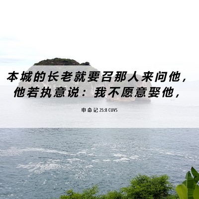 Picture 06 - 申 命 记 25:8 CUVS - 本 城 的 长 老 就 要 召 那 人 来 问 - Bible Verse Picture