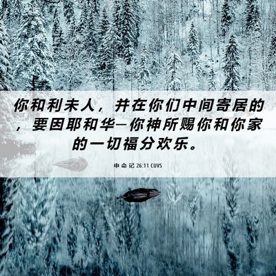 Picture 06 - 申 命 记 26:11 CUVS - 你 和 利 未 人 ， 并 在 你 们 中 间 - Bible Verse Picture
