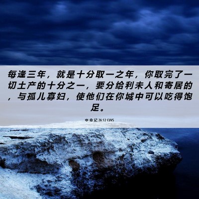 Picture 06 - 申 命 记 26:12 CUVS - 每 逢 三 年 ， 就 是 十 分 取 一 之 - Bible Verse Picture