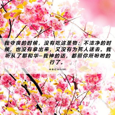 Picture 06 - 申 命 记 26:14 CUVS - 我 守 丧 的 时 候 ， 没 有 吃 这 圣 - Bible Verse Picture