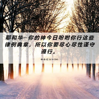Picture 06 - 申 命 记 26:16 CUVS - 耶 和 华 ─ 你 的 神 今 日 吩 咐 你 - Bible Verse Picture