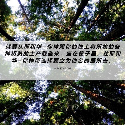 Picture 06 - 申 命 记 26:2 CUVS - 就 要 从 耶 和 华 ─ 你 神 赐 你 的 - Bible Verse Picture