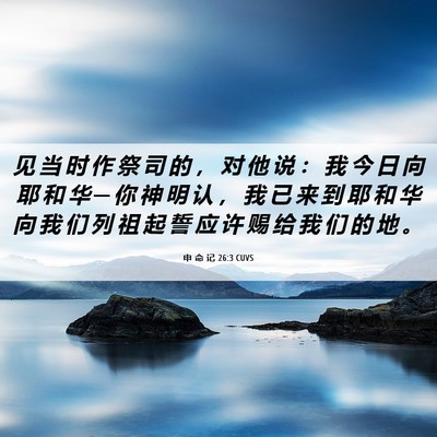 Picture 06 - 申 命 记 26:3 CUVS - 见 当 时 作 祭 司 的 ， 对 他 说 ： - Bible Verse Picture