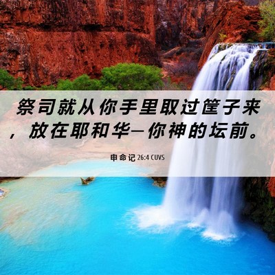 Picture 06 - 申 命 记 26:4 CUVS - 祭 司 就 从 你 手 里 取 过 筐 子 来 - Bible Verse Picture