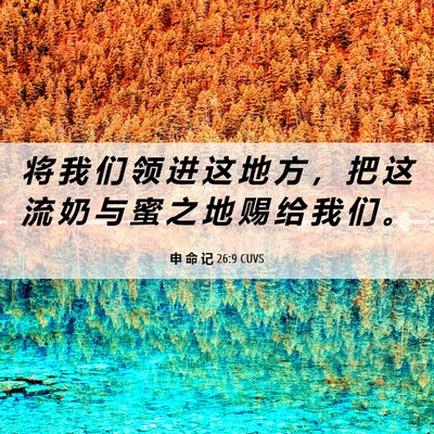 Picture 06 - 申 命 记 26:9 CUVS - 将 我 们 领 进 这 地 方 ， 把 这 流 - Bible Verse Picture