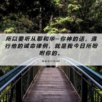 Picture 06 - 申 命 记 27:10 CUVS - 所 以 要 听 从 耶 和 华 ─ 你 神 的 - Bible Verse Picture