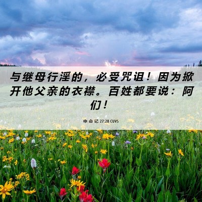 Picture 06 - 申 命 记 27:20 CUVS - 与 继 母 行 淫 的 ， 必 受 咒 诅 ！ - Bible Verse Picture
