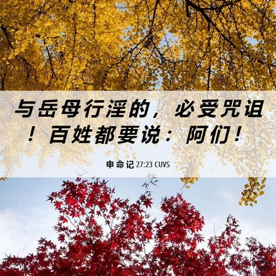 Picture 06 - 申 命 记 27:23 CUVS - 与 岳 母 行 淫 的 ， 必 受 咒 诅 ！ - Bible Verse Picture