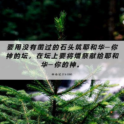 Picture 06 - 申 命 记 27:6 CUVS - 要 用 没 有 凿 过 的 石 头 筑 耶 和 - Bible Verse Picture