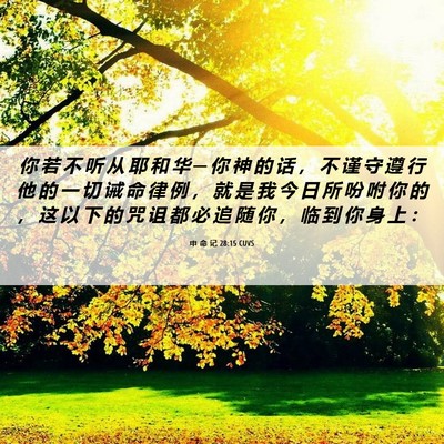 Picture 06 - 申 命 记 28:15 CUVS - 你 若 不 听 从 耶 和 华 ─ 你 神 的 - Bible Verse Picture