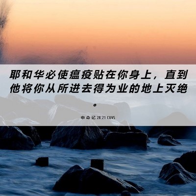 Picture 06 - 申 命 记 28:21 CUVS - 耶 和 华 必 使 瘟 疫 贴 在 你 身 上 - Bible Verse Picture