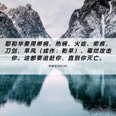 Picture 06 - 申 命 记 28:22 CUVS - 耶 和 华 要 用 痨 病 、 热 病 、 火 - Bible Verse Picture