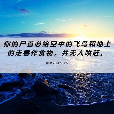 Picture 06 - 申 命 记 28:26 CUVS - 你 的 尸 首 必 给 空 中 的 飞 鸟 和 - Bible Verse Picture