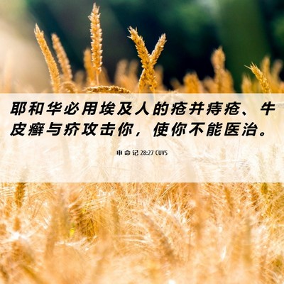 Picture 06 - 申 命 记 28:27 CUVS - 耶 和 华 必 用 埃 及 人 的 疮 并 痔 - Bible Verse Picture