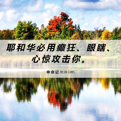 Picture 06 - 申 命 记 28:28 CUVS - 耶 和 华 必 用 癫 狂 、 眼 瞎 、 心 - Bible Verse Picture