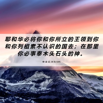 Picture 06 - 申 命 记 28:36 CUVS - 耶 和 华 必 将 你 和 你 所 立 的 王 - Bible Verse Picture