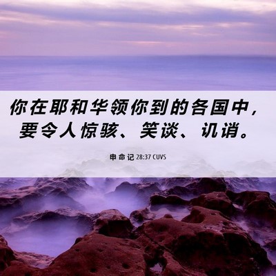 Picture 06 - 申 命 记 28:37 CUVS - 你 在 耶 和 华 领 你 到 的 各 国 中 - Bible Verse Picture