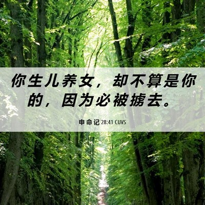Picture 06 - 申 命 记 28:41 CUVS - 你 生 儿 养 女 ， 却 不 算 是 你 的 - Bible Verse Picture