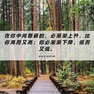 Picture 06 - 申 命 记 28:43 CUVS - 在 你 中 间 寄 居 的 ， 必 渐 渐 上 - Bible Verse Picture