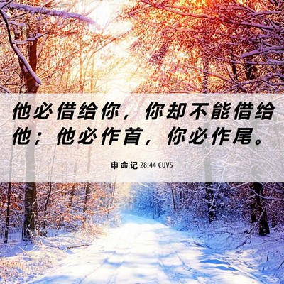Picture 06 - 申 命 记 28:44 CUVS - 他 必 借 给 你 ， 你 却 不 能 借 给 - Bible Verse Picture
