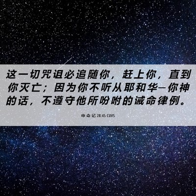 Picture 06 - 申 命 记 28:45 CUVS - 这 一 切 咒 诅 必 追 随 你 ， 赶 上 - Bible Verse Picture