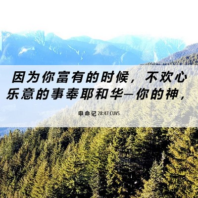 Picture 06 - 申 命 记 28:47 CUVS - 因 为 你 富 有 的 时 候 ， 不 欢 心 - Bible Verse Picture