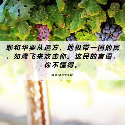 Picture 06 - 申 命 记 28:49 CUVS - 耶 和 华 要 从 远 方 、 地 极 带 一 - Bible Verse Picture