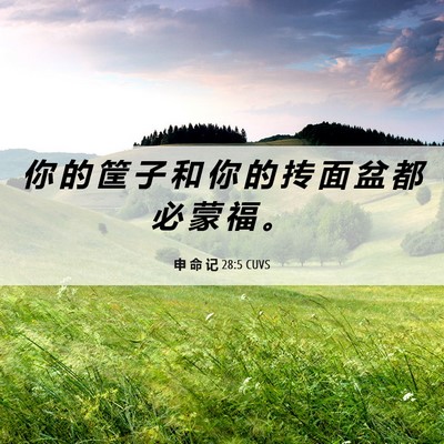 Picture 06 - 申 命 记 28:5 CUVS - 你 的 筐 子 和 你 的 抟 面 盆 都 必 - Bible Verse Picture