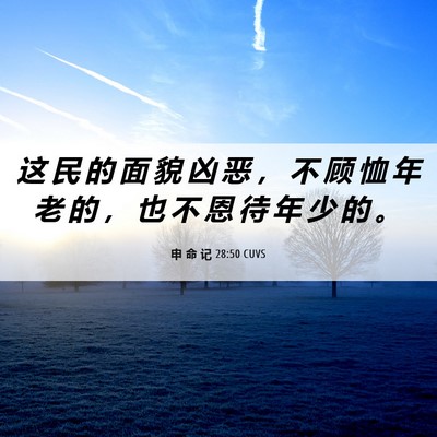 Picture 06 - 申 命 记 28:50 CUVS - 这 民 的 面 貌 凶 恶 ， 不 顾 恤 年 - Bible Verse Picture