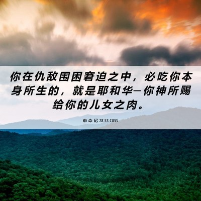 Picture 06 - 申 命 记 28:53 CUVS - 你 在 仇 敌 围 困 窘 迫 之 中 ， 必 - Bible Verse Picture