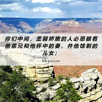 Picture 06 - 申 命 记 28:54 CUVS - 你 们 中 间 ， 柔 弱 娇 嫩 的 人 必 - Bible Verse Picture