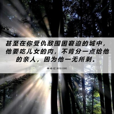 Picture 06 - 申 命 记 28:55 CUVS - 甚 至 在 你 受 仇 敌 围 困 窘 迫 的 - Bible Verse Picture