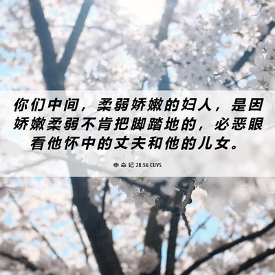 Picture 06 - 申 命 记 28:56 CUVS - 你 们 中 间 ， 柔 弱 娇 嫩 的 妇 人 - Bible Verse Picture