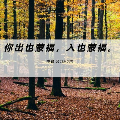 Picture 06 - 申 命 记 28:6 CUVS - 你 出 也 蒙 福 ， 入 也 蒙 福 - Bible Verse Picture